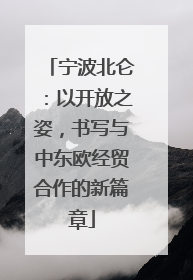 宁波北仑：以开放之姿，书写与中东欧经贸合作的新篇章