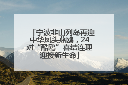 宁波韭山列岛再迎中华凤头燕鸥，24对“酷鸥”喜结连理迎接新生命