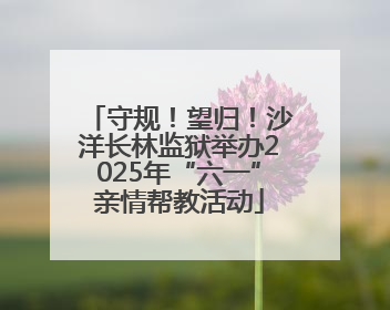守规！望归！沙洋长林监狱举办2025年“六一”亲情帮教活动