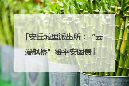 安丘城里派出所：“云端枫桥”绘平安图景