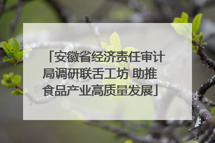 安徽省经济责任审计局调研联舌工坊 助推食品产业高质量发展