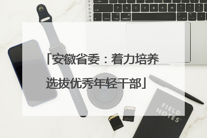 安徽省委：着力培养选拔优秀年轻干部