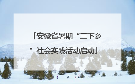 安徽省暑期“三下乡”社会实践活动启动