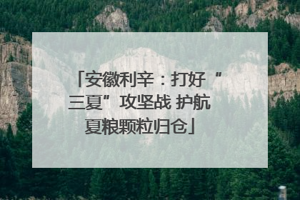 安徽利辛：打好“三夏”攻坚战 护航夏粮颗粒归仓