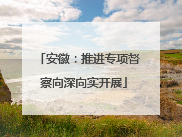 安徽：推进专项督察向深向实开展