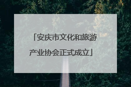 安庆市文化和旅游产业协会正式成立