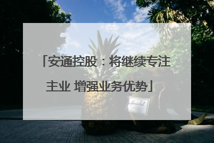 安通控股：将继续专注主业 增强业务优势