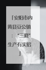 安阳市内黄县豆公镇：“三夏”生产有实招
