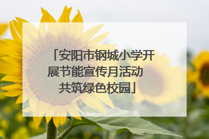 安阳市钢城小学开展节能宣传月活动 共筑绿色校园