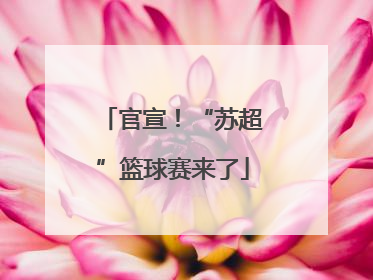 官宣！“苏超”篮球赛来了