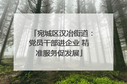 宛城区汉冶街道：党员干部进企业 精准服务促发展