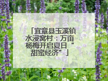 宜章县玉溪镇水浸窝村：万亩杨梅开启夏日“甜蜜经济”