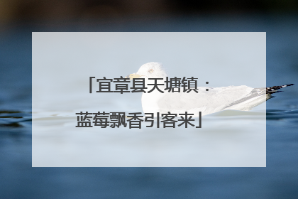 宜章县天塘镇：蓝莓飘香引客来