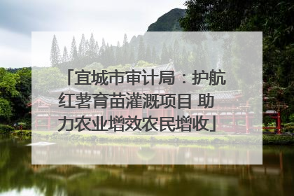 宜城市审计局：护航红薯育苗灌溉项目 助力农业增效农民增收