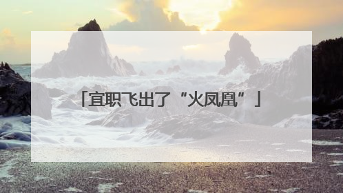 宜职飞出了“火凤凰”