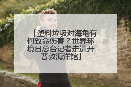 塑料垃圾对海龟有何致命伤害？世界环境日总台记者走进开普敦海洋馆