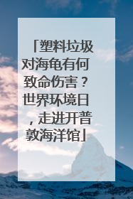 塑料垃圾对海龟有何致命伤害？世界环境日，走进开普敦海洋馆