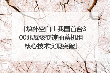 填补空白！我国首台300兆瓦级变速抽蓄机组核心技术实现突破