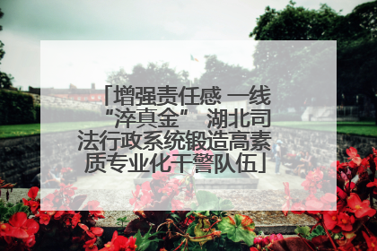 增强责任感 一线“淬真金” 湖北司法行政系统锻造高素质专业化干警队伍