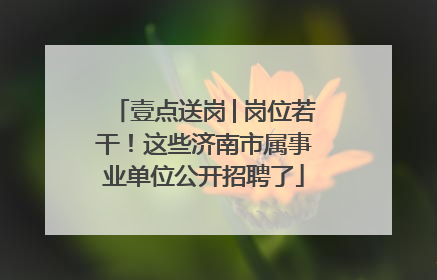 壹点送岗│岗位若干！这些济南市属事业单位公开招聘了
