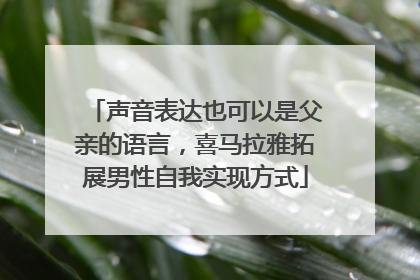 声音表达也可以是父亲的语言，喜马拉雅拓展男性自我实现方式
