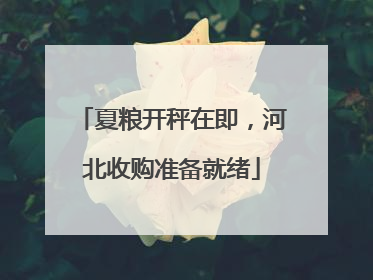 夏粮开秤在即，河北收购准备就绪
