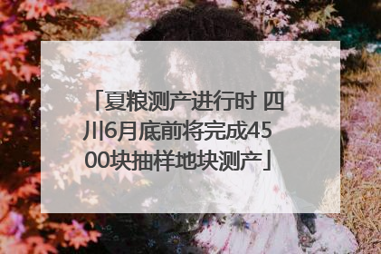 夏粮测产进行时 四川6月底前将完成4500块抽样地块测产