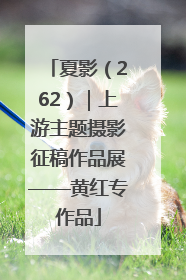 夏影（262）｜上游主题摄影征稿作品展——黄红专作品