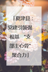 夏津县：党建引领强根基 “支部主心骨”聚合力