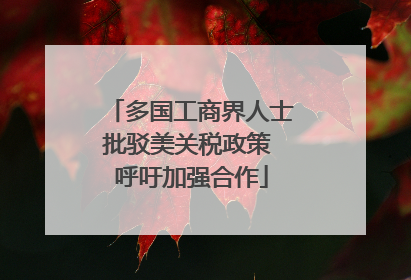 多国工商界人士批驳美关税政策 呼吁加强合作