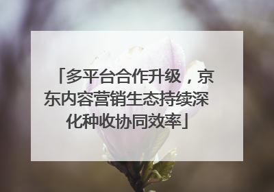 多平台合作升级，京东内容营销生态持续深化种收协同效率