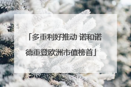 多重利好推动 诺和诺德重登欧洲市值榜首