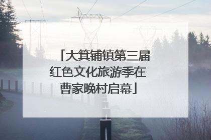 大箕铺镇第三届红色文化旅游季在曹家晚村启幕
