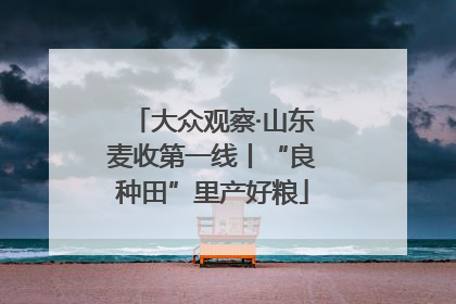大众观察·山东麦收第一线丨“良种田”里产好粮