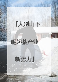 大别山下崛起茶产业新势力
