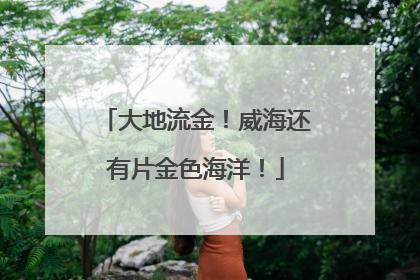 大地流金！威海还有片金色海洋！