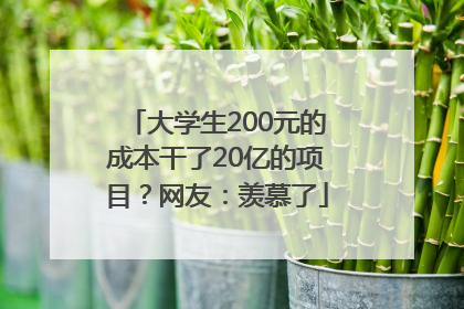 大学生200元的成本干了20亿的项目？网友：羡慕了