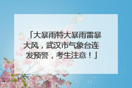 大暴雨特大暴雨雷暴大风，武汉市气象台连发预警，考生注意！