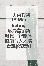 天禹数智 TY Marketing 破局营销新时代：智能体赋能与人才培育双轮驱动