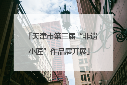 天津市第三届“非遗小匠”作品展开展