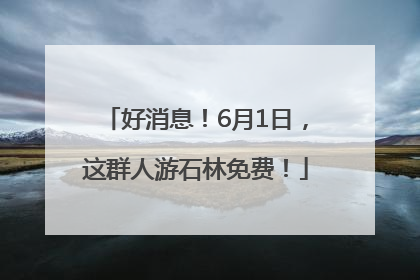 好消息！6月1日，这群人游石林免费！