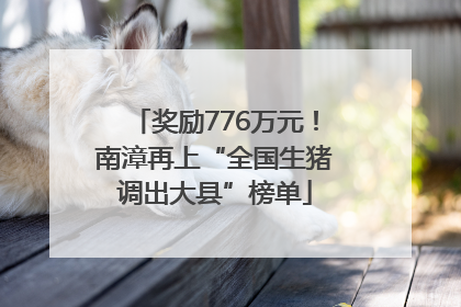 奖励776万元！南漳再上“全国生猪调出大县”榜单