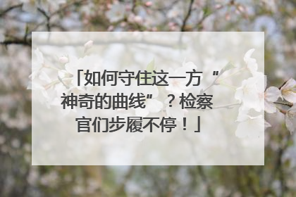如何守住这一方“神奇的曲线”？检察官们步履不停！