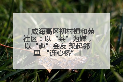威海高区初村镇和苑社区：以“菜”为媒，以“趣”会友 架起邻里 “连心桥”
