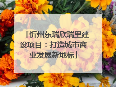 忻州东瑞欣瑞里建设项目：打造城市商业发展新地标