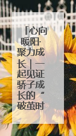 心向暖阳·聚力成长｜一起见证骄子成长的“破茧时刻”