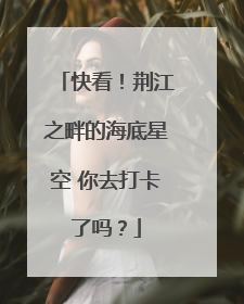 快看！荆江之畔的海底星空 你去打卡了吗？