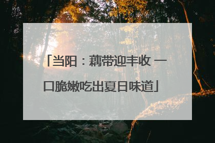 当阳：藕带迎丰收 一口脆嫩吃出夏日味道