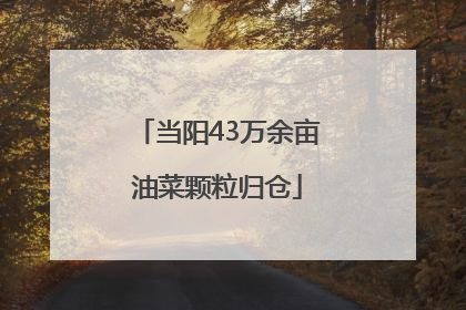 当阳43万余亩油菜颗粒归仓