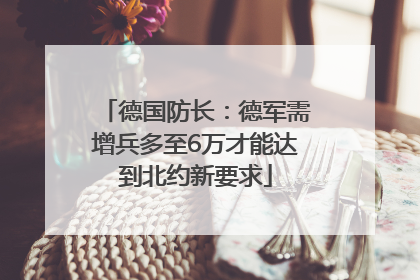 德国防长：德军需增兵多至6万才能达到北约新要求
